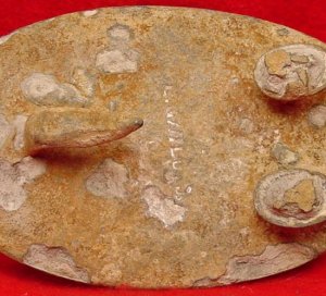 US Waist Belt Plate - Supplier Marked "E. GAYLORD" - Excavated