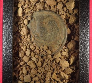 Eagle Plate in Georgia Soil - Excellent Display