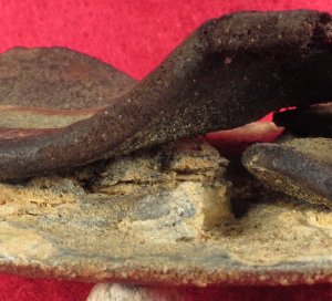 US Belt Buckle with Large Leather Belt Remnant