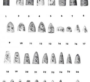 Civil War Projectiles Small Arms & Field Artillery II - Rare 1st Edition