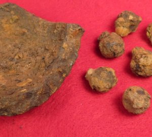 Artillery Iron Shot in 4.5 Inch Cannonball Shell Shrapnel