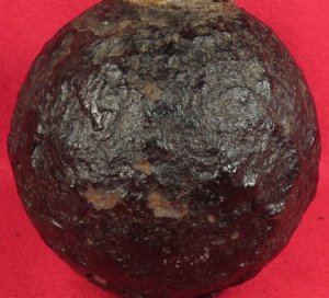 US 12 Pounder Bormann Fuzed Case-Shot