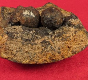Artillery Shell Shrapnel & Canister Shot - Antietam 