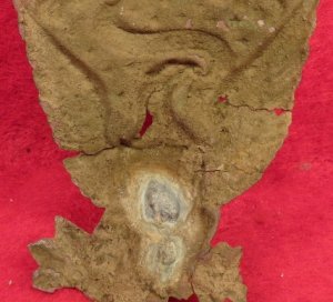 Federal "Jeff Davis" Hat Insignia