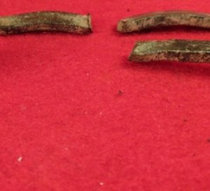 Confederate Frame Buckle 