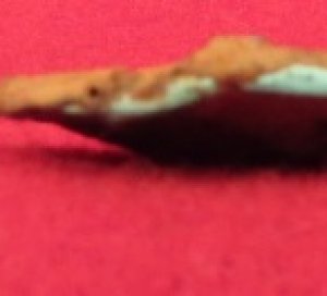 Three Confederate Letter Buttons 