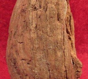 Bullet in Wood