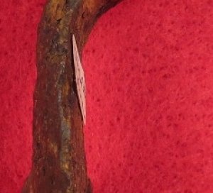 P-1853 Enfield Musket Hammer