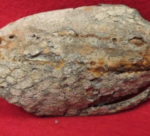 US Cartridge Box Plate