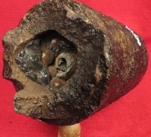 Fired 3 Inch Schenkl Case-Shot Artillery Shell Fragment - Front Section