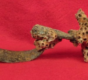 Enfield Rifle Musket Trigger Guard with Corals 