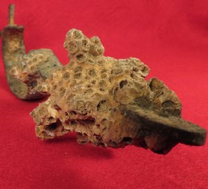Enfield Rifle Musket Trigger Guard with Corals 