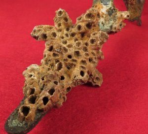 Enfield Rifle Musket Trigger Guard with Corals 