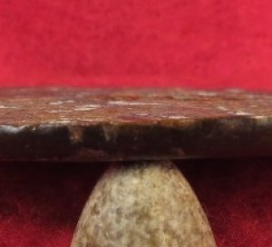 Eagle Plate