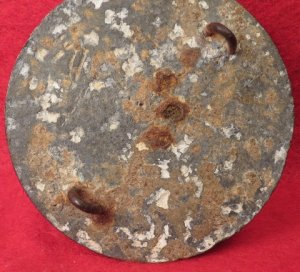 Eagle Plate