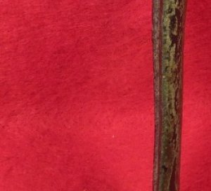 Confederate Brass Firearm Butt Plate - Marked "CS" - Enfield Pattern