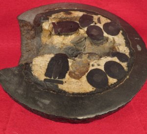 12 Pounder Cannonball Case-Shot Half for use w/ Rare Wright Time Fuze