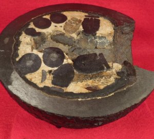 12 Pounder Cannonball Case-Shot Half for use w/ Rare Wright Time Fuze