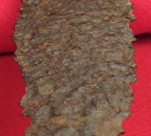 Large Side Knife