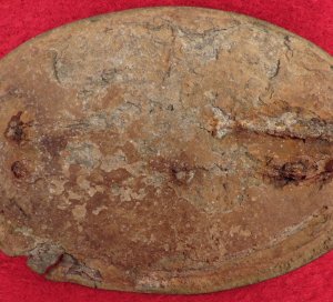 US Cartridge Box Plate