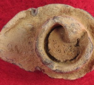 Fired "Mushroomed" Confederate Enfield Bullet with Wood Plug