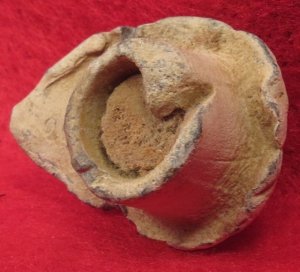 Fired "Mushroomed" Confederate Enfield Bullet with Wood Plug