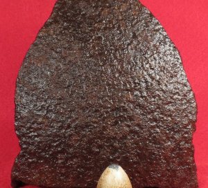 15 Inch Spherical Shell Navy Fragment