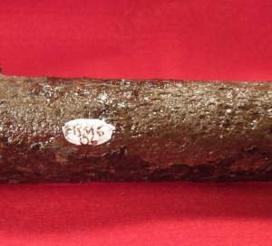 Pattern 1853 Enfield Rifle Musket Barrel