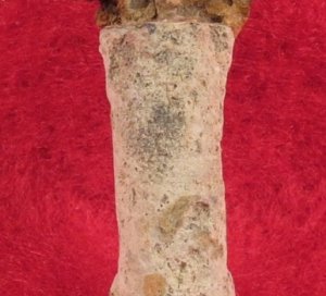 McEvoy Fuze Igniter - Rare Find