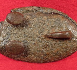 US Belt Buckle - Stud Hooks