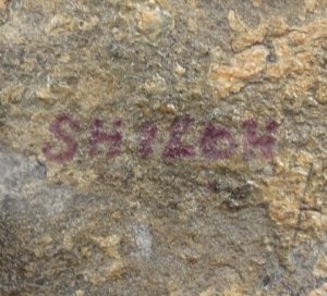 US Waist Belt Buckle for Dragoon (Rifleman) Enlisted