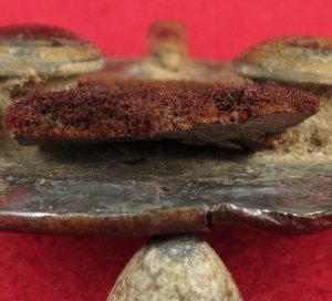 US Waist Belt Buckle for Dragoon (Rifleman) Enlisted