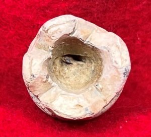 Confederate .58 Caliber Gardner Bullet - Carved