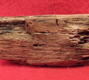 .58 Caliber 3-Ring Bullet in Wood
