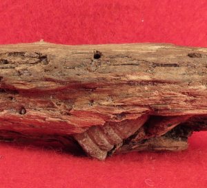 .58 Caliber 3-Ring Bullet in Wood
