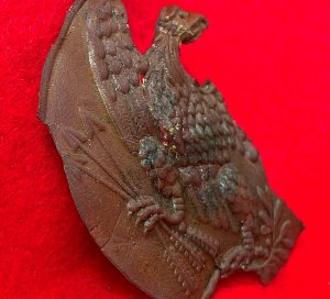 Carved Eagle Plate Brass Skin
