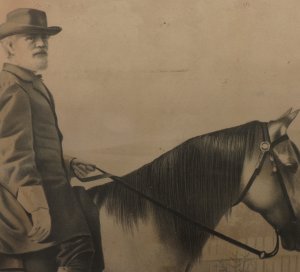 "Genl. Lee On Traveler"