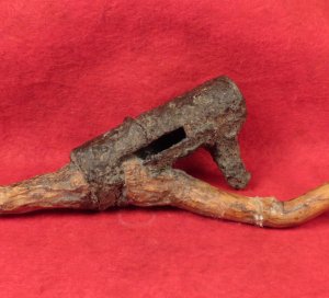 Bayonet Socket Recovered with Tree Root