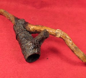 Bayonet Socket Recovered with Tree Root