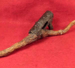 Bayonet Socket Recovered with Tree Root