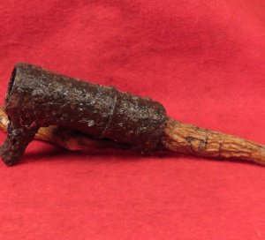 Bayonet Socket Recovered with Tree Root