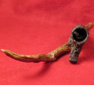 Bayonet Socket Recovered with Tree Root