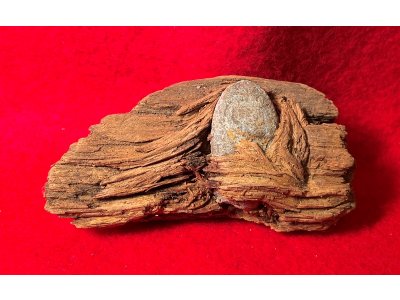 Bullet In Wood