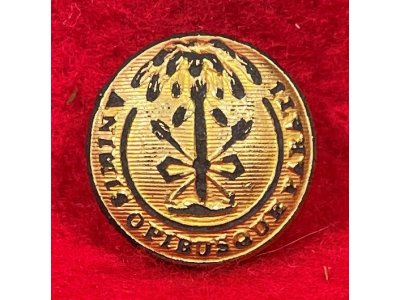 South Carolina State Seal Coat Button