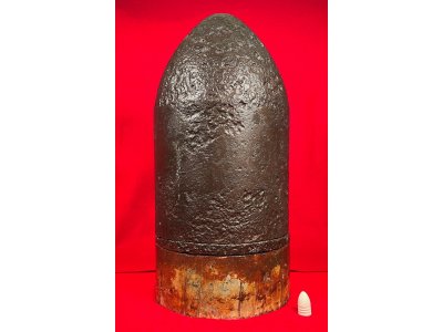 Federal 7-Inch Dyer Shell - Huge Shell in Two Pieces