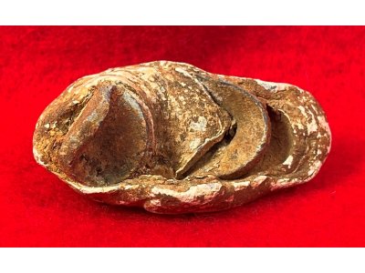 Collided Type III Williams Cleaner Bullets