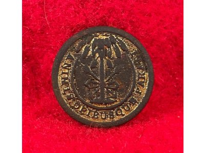 Pre-Civil War South Carolina State Seal Coat Button