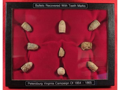 Bullets Recovered with Teeth Marks