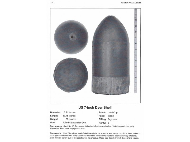 Federal 7-Inch Dyer Shell - Huge Shell in Two Pieces