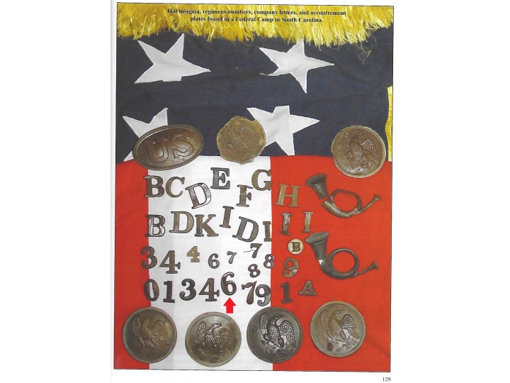 Regimental Number "6" or "9" - Large Size